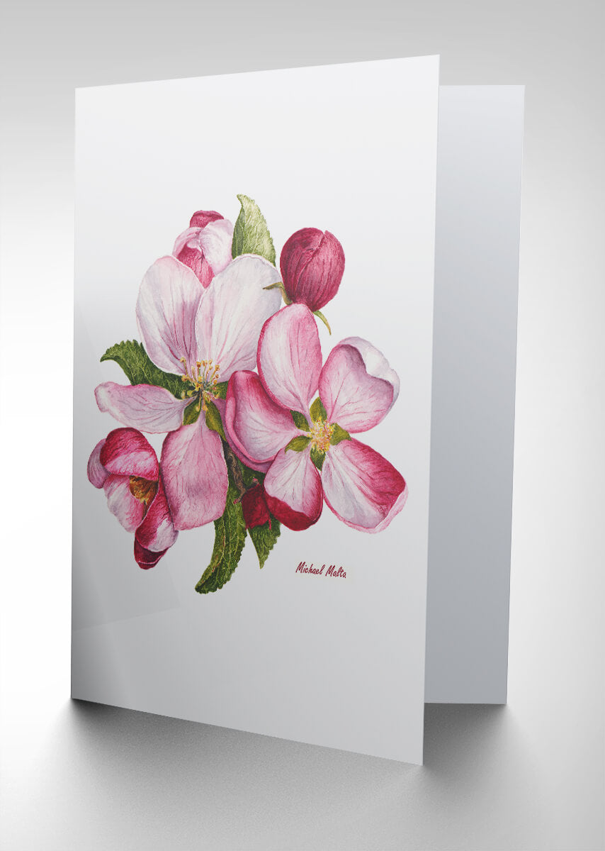 Apple Blossoms Artwork