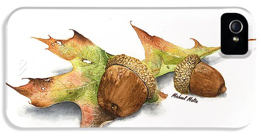 Autumn Oak And Acorns - Phone Case