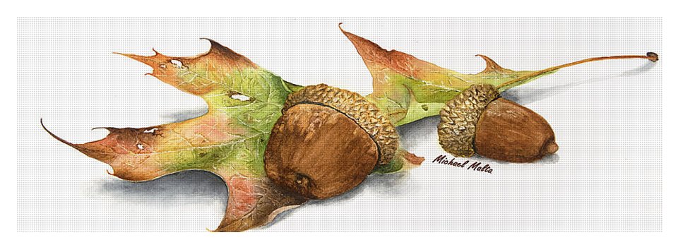 Autumn Oak And Acorns - Yoga Mat