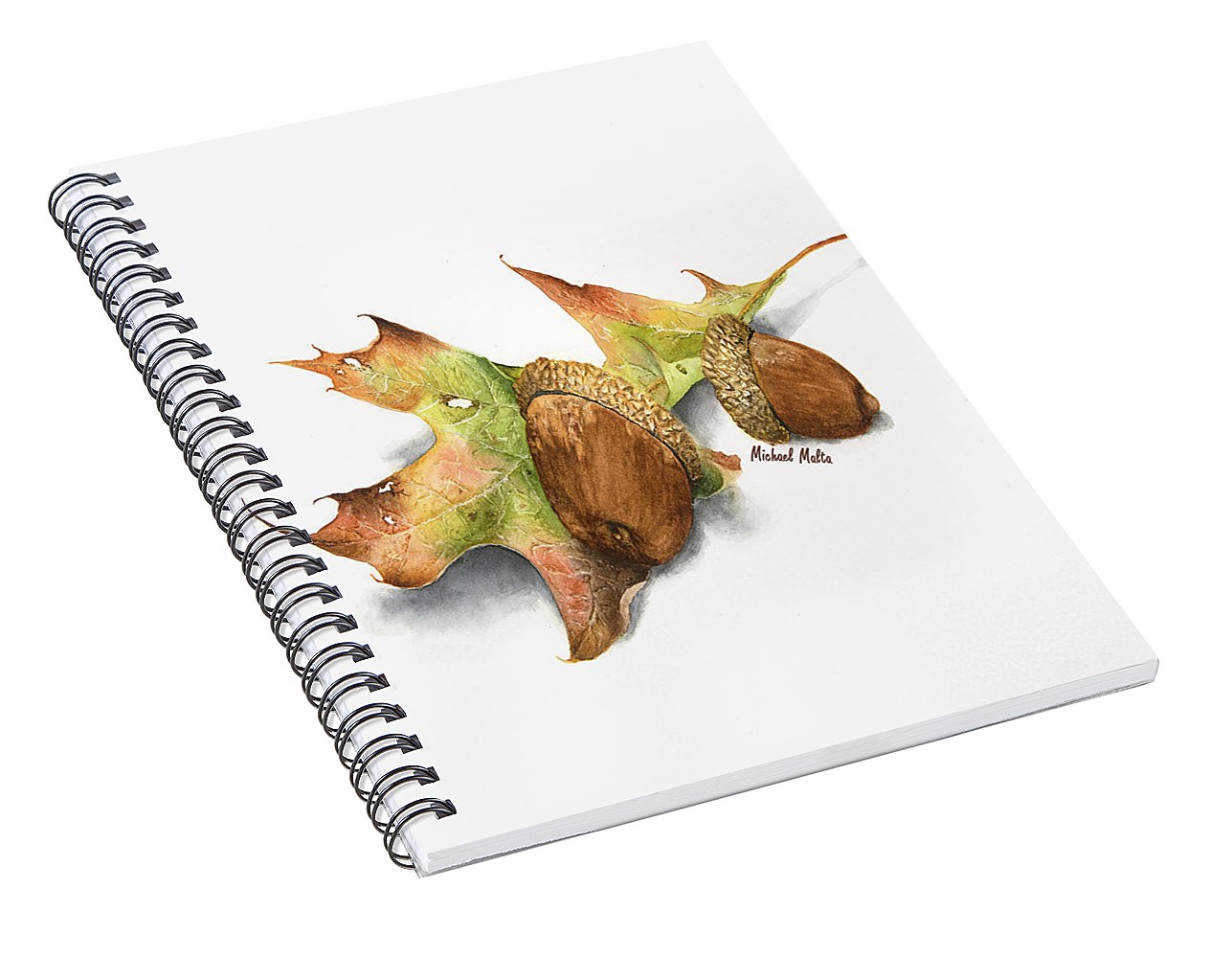 Autumn Oak And Acorns - Spiral Notebook