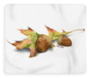 Autumn Oak And Acorns - Blanket