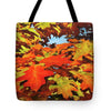 Burst Of Autumn - Tote Bag