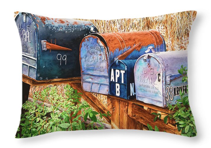 You Got Mail - Throw Pillow