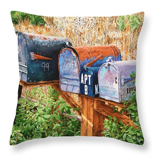 You Got Mail - Throw Pillow