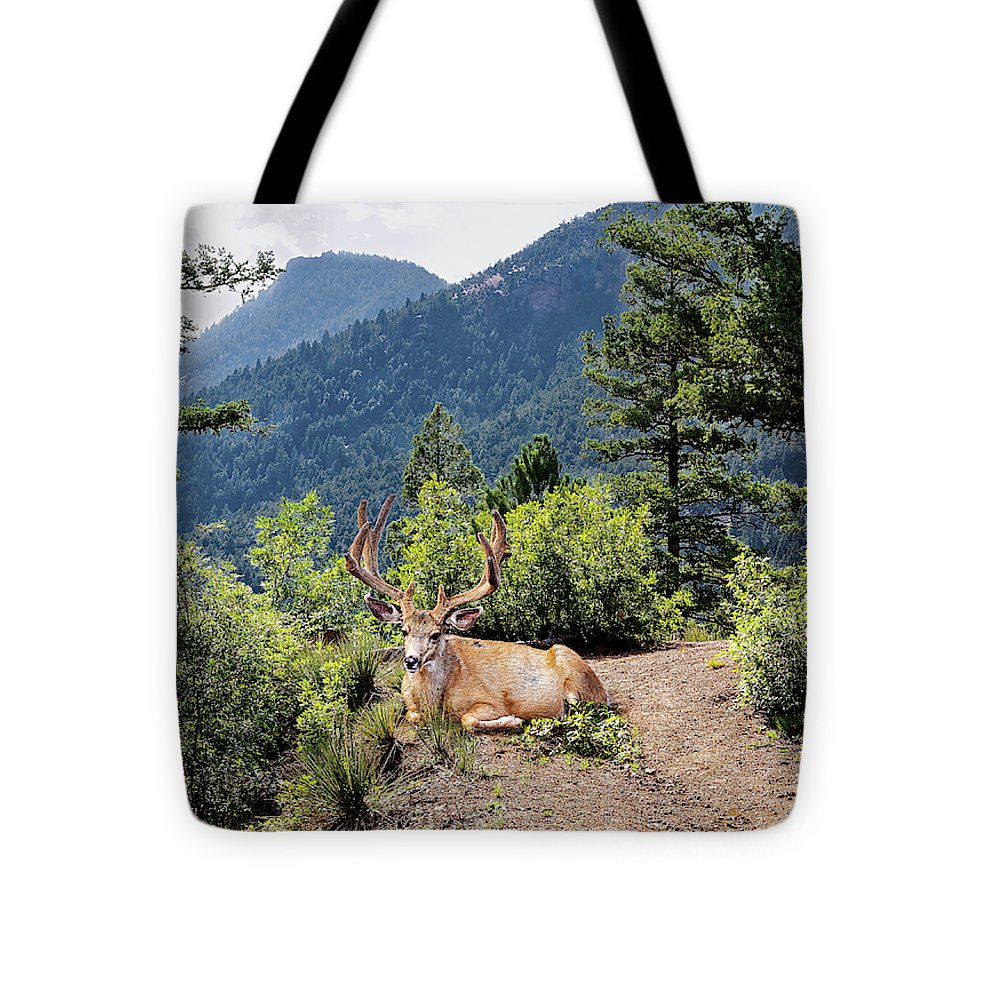 Taking A Break - Tote Bag