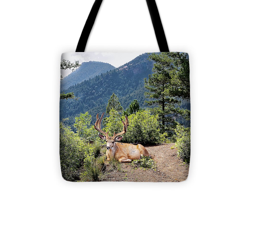 Taking A Break - Tote Bag