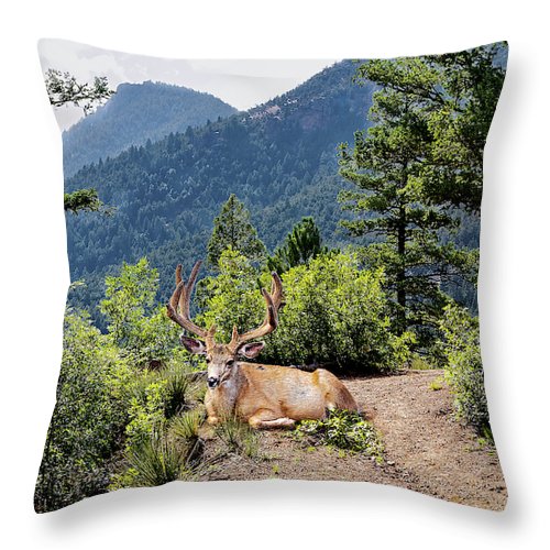 Taking A Break - Throw Pillow