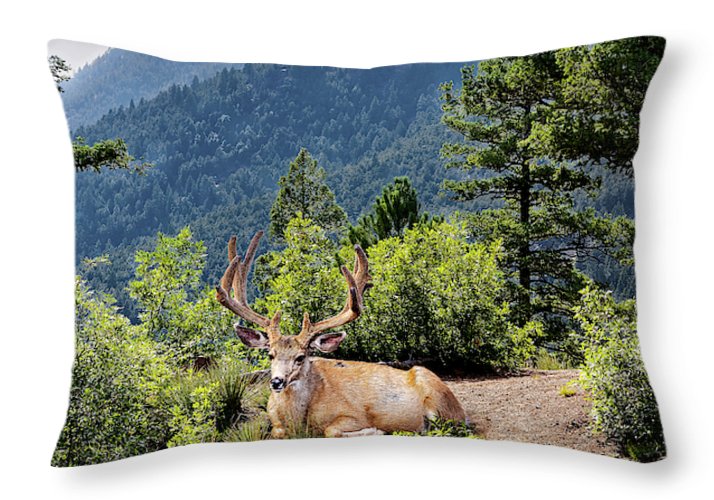 Taking A Break - Throw Pillow