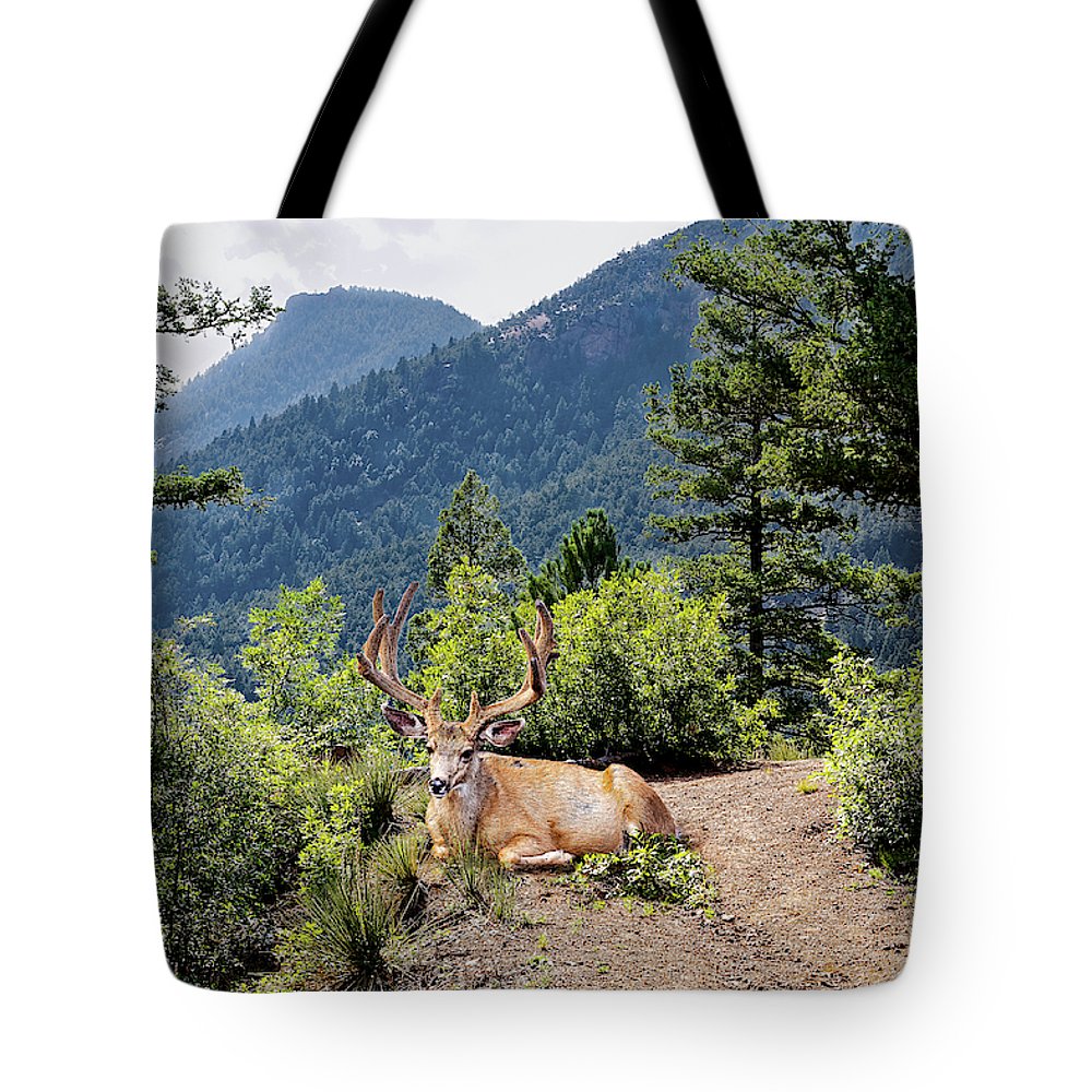 Taking A Break - Tote Bag