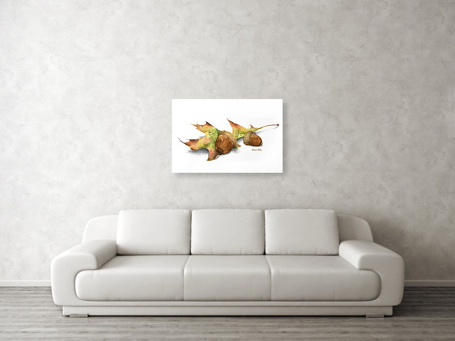 Autumn Oak And Acorns - Canvas Print