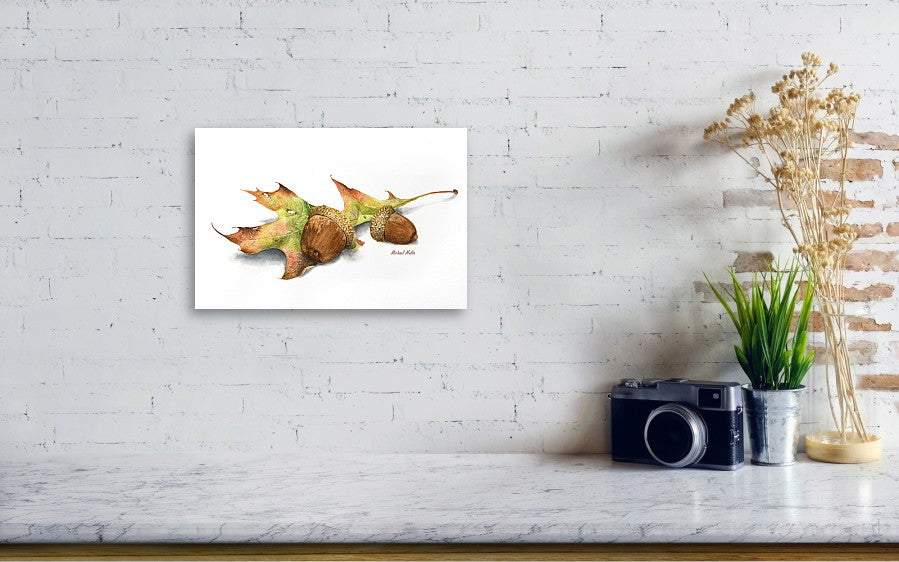 Autumn Oak And Acorns - Metal Print