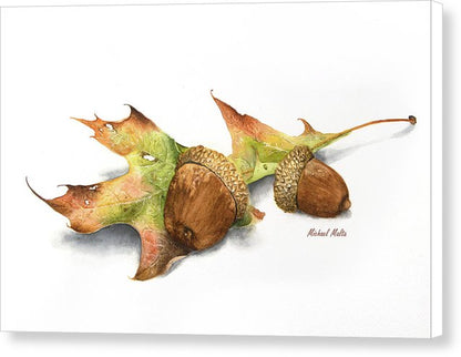 Autumn Oak And Acorns - Canvas Print