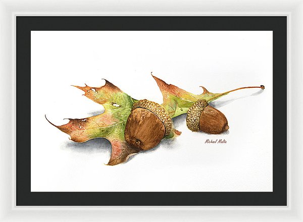 Autumn Oak And Acorns - Framed Print