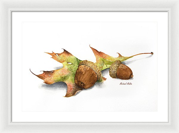 Autumn Oak And Acorns - Framed Print