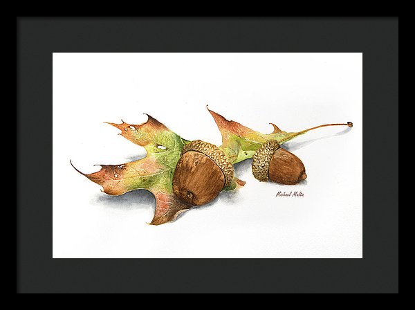Autumn Oak And Acorns - Framed Print