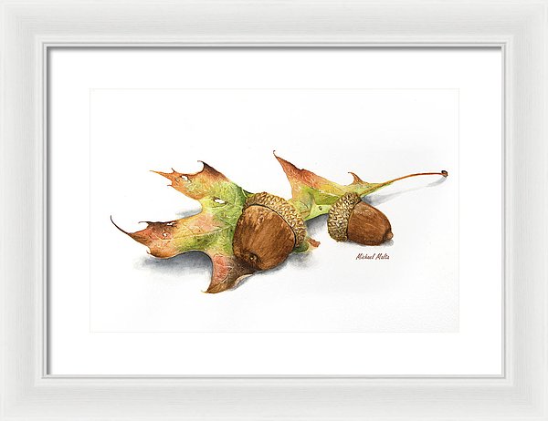Autumn Oak And Acorns - Framed Print