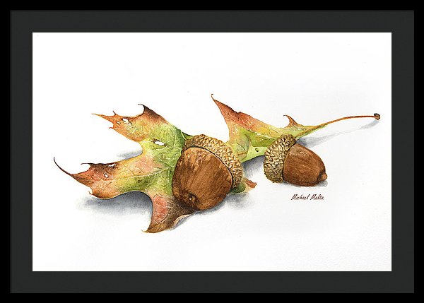 Autumn Oak And Acorns - Framed Print