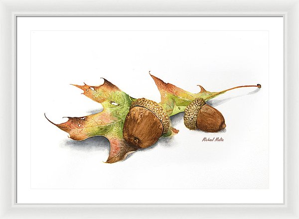 Autumn Oak And Acorns - Framed Print