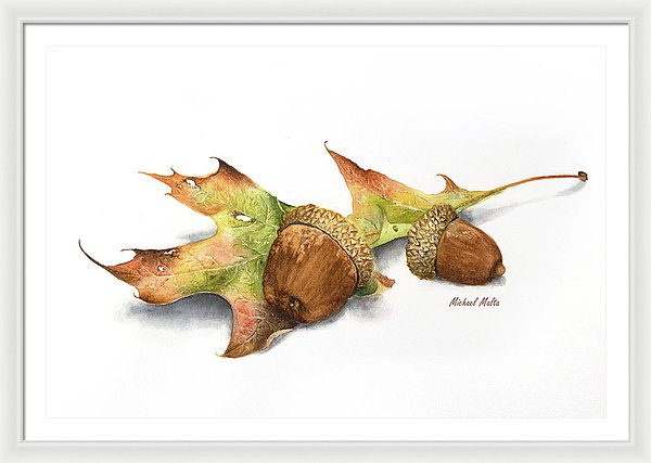 Autumn Oak And Acorns - Framed Print
