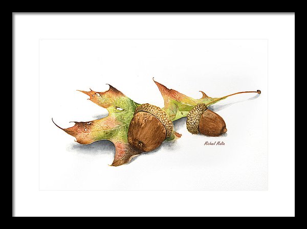 Autumn Oak And Acorns - Framed Print