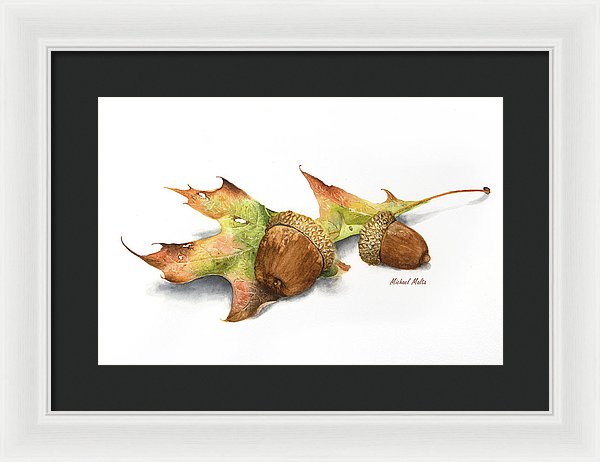 Autumn Oak And Acorns - Framed Print