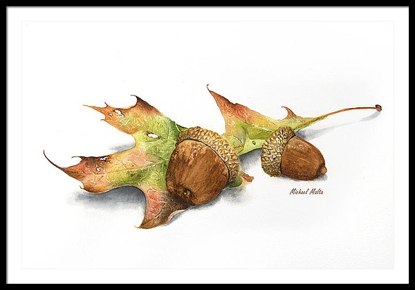 Autumn Oak And Acorns - Framed Print