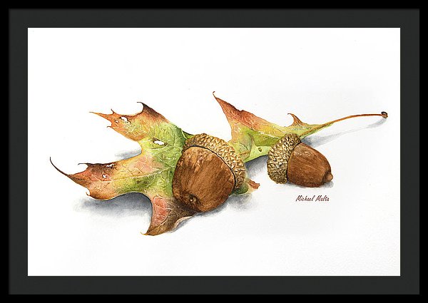 Autumn Oak And Acorns - Framed Print