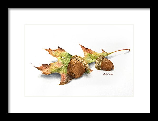 Autumn Oak And Acorns - Framed Print