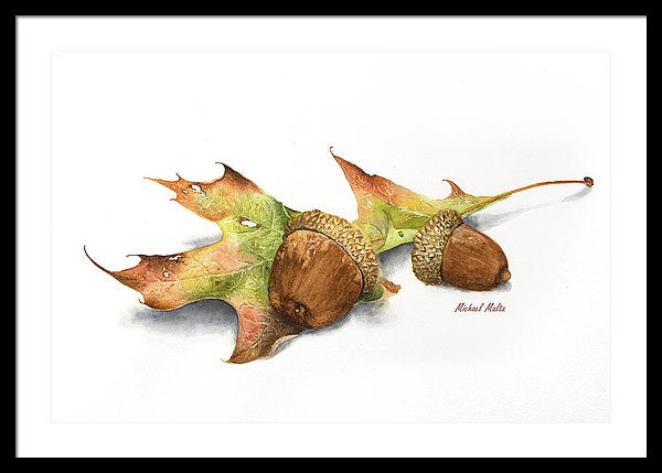 Autumn Oak And Acorns - Framed Print