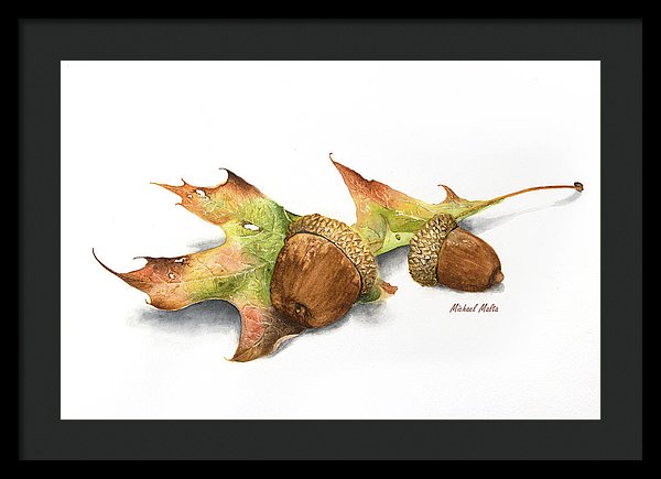 Autumn Oak And Acorns - Framed Print