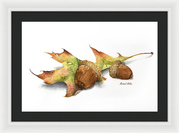 Autumn Oak And Acorns - Framed Print