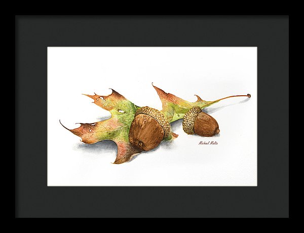 Autumn Oak And Acorns - Framed Print