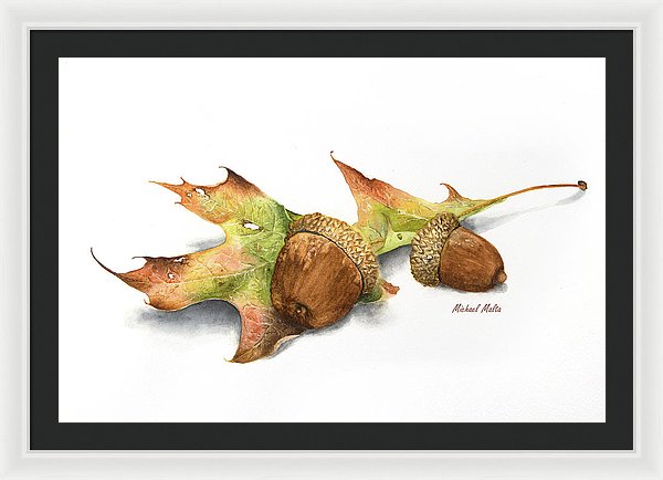 Autumn Oak And Acorns - Framed Print