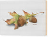 Autumn Oak And Acorns - Wood Print