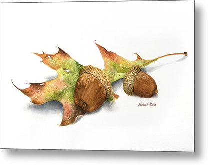 Autumn Oak And Acorns - Metal Print