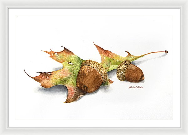 Autumn Oak And Acorns - Framed Print
