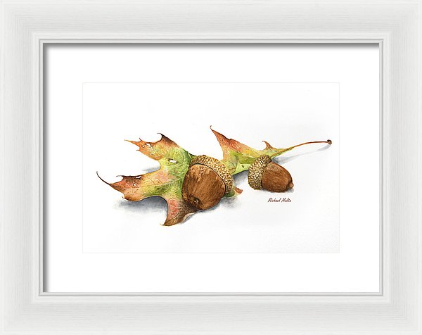Autumn Oak And Acorns - Framed Print