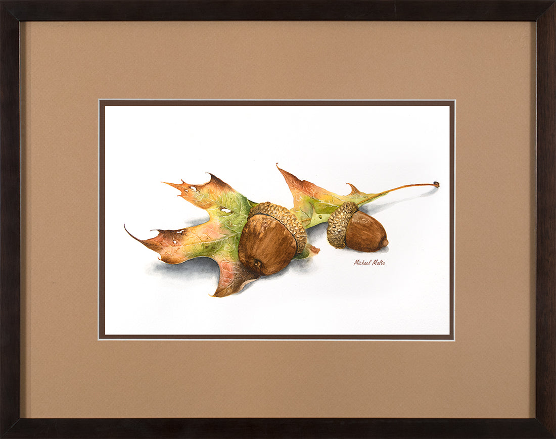 Autumn Oak and Acorns - Original