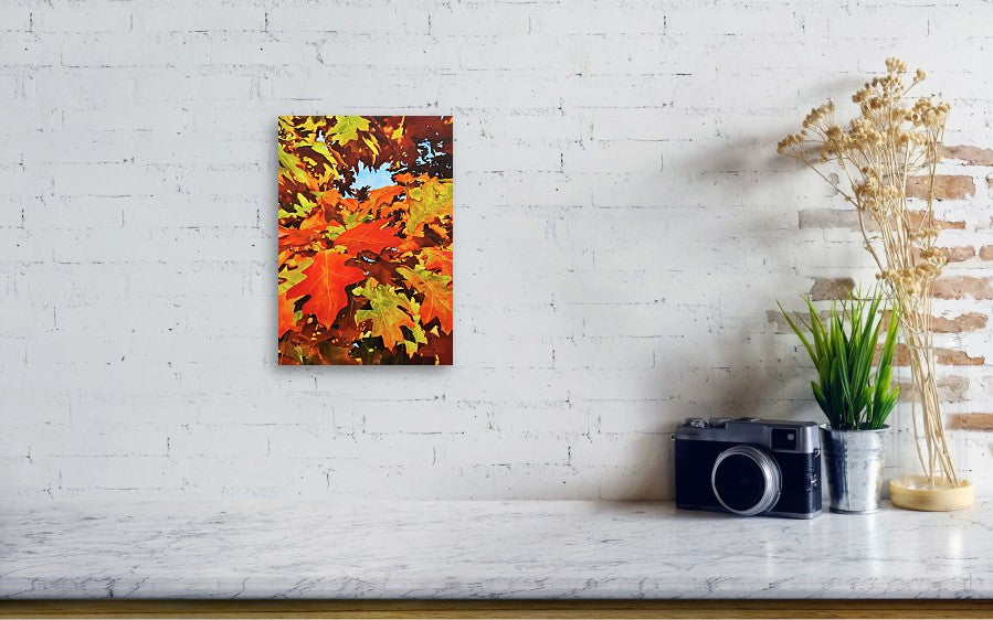 Burst Of Autumn - Acrylic Print