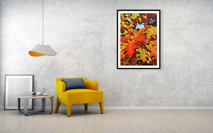 Burst Of Autumn - Framed Print