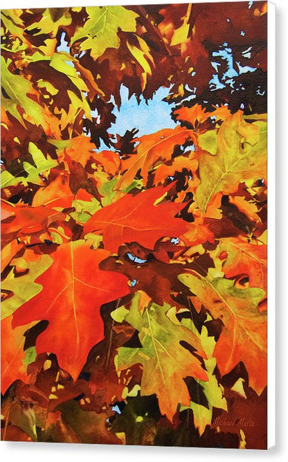 Burst Of Autumn - Canvas Print