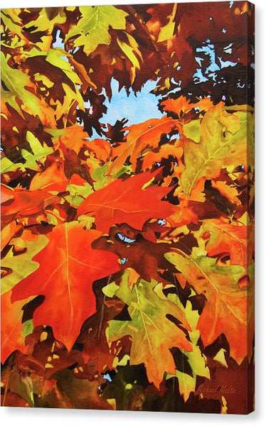 Burst Of Autumn - Canvas Print
