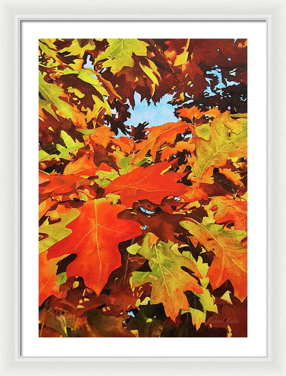 Burst Of Autumn - Framed Print