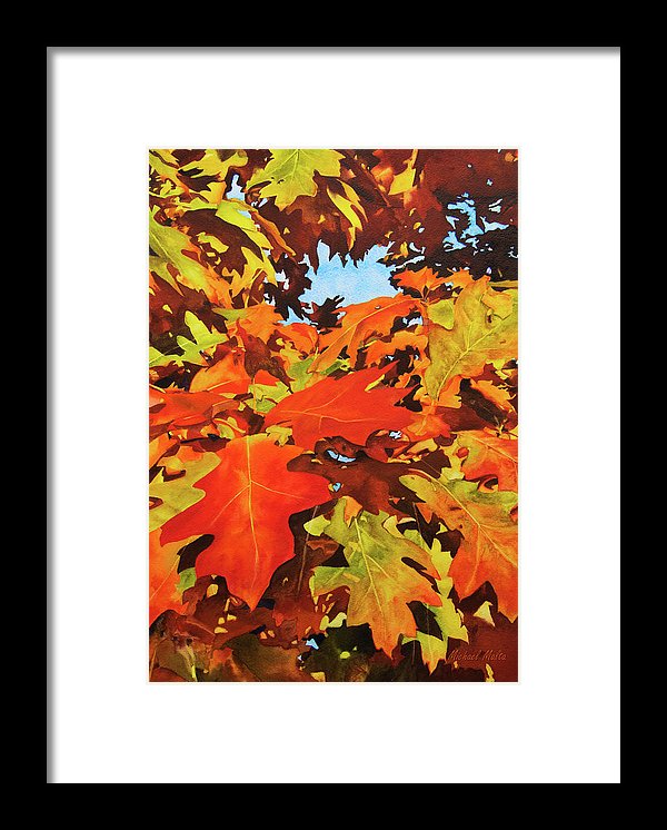 Burst Of Autumn - Framed Print