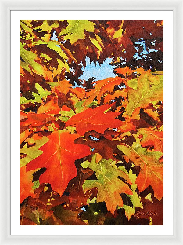 Burst Of Autumn - Framed Print