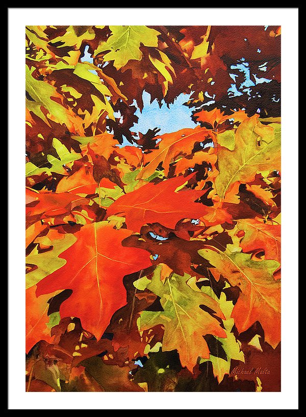 Burst Of Autumn - Framed Print