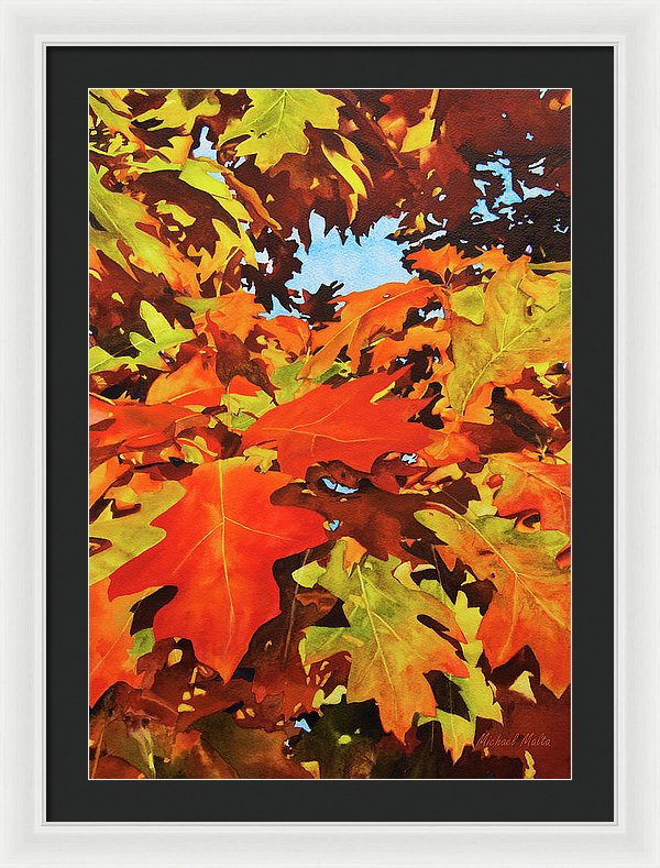 Burst Of Autumn - Framed Print