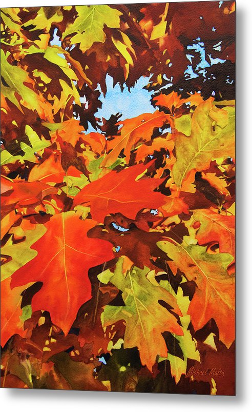 Burst Of Autumn - Metal Print