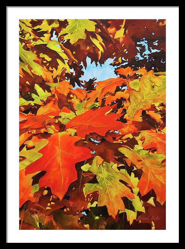 Burst Of Autumn - Framed Print