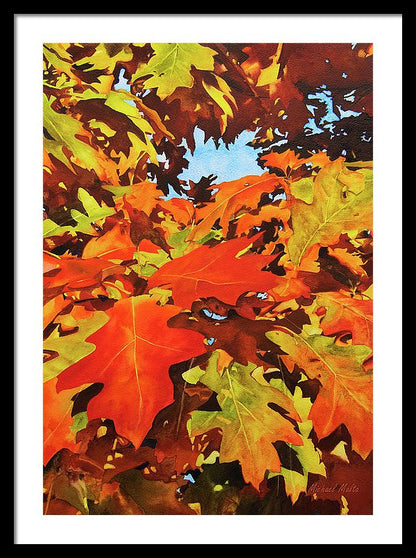 Burst Of Autumn - Framed Print